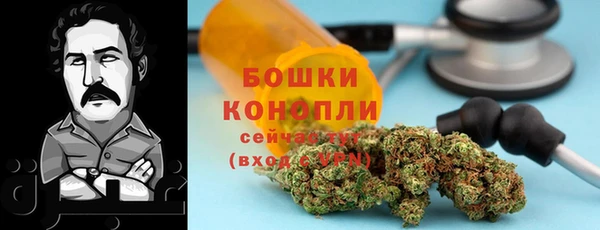 соль ск Богданович