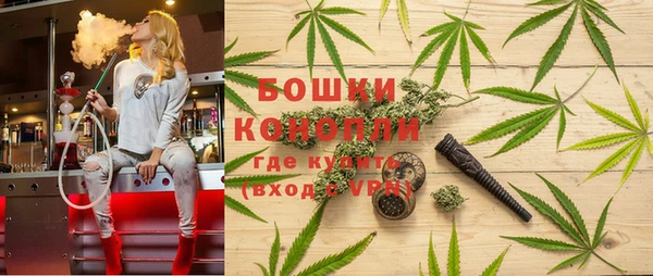 сатива Богородицк