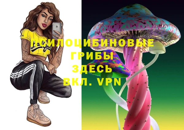 экстази Белокуриха