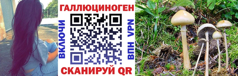 Галлюциногенные грибы ЛСД  хочу наркоту  Старица 